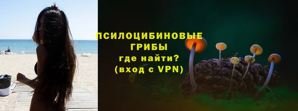 PSILOCYBIN Армянск